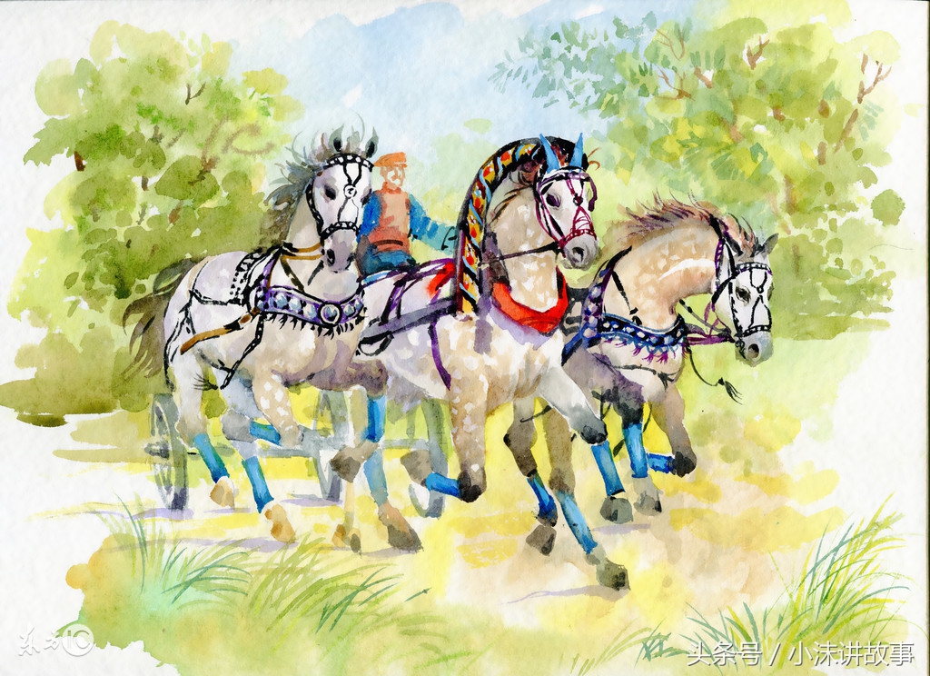 秦大妮演员视频,秦大妮的小视频