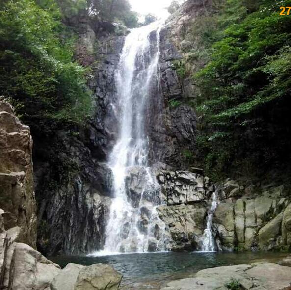 选择信阳最好毛尖茶怎么选,信阳高端毛尖茶冲泡带雾