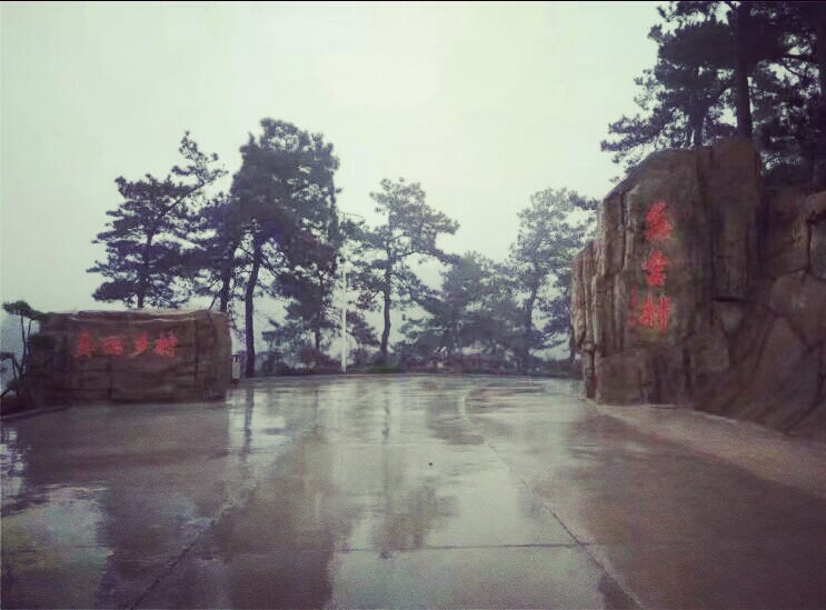 选择信阳最好毛尖茶怎么选,信阳高端毛尖茶冲泡带雾