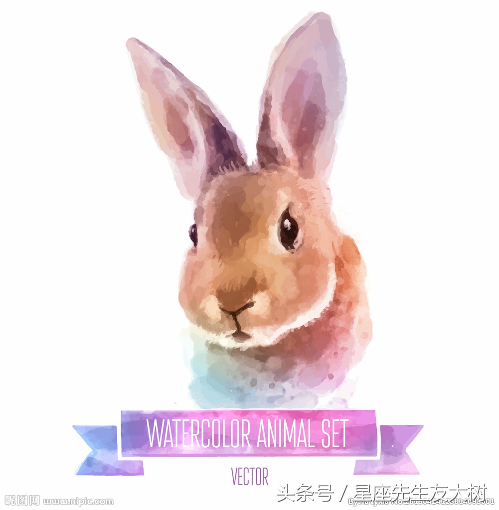 2018狗年戊戌十二生肖运势详解,戊戌日十二生肖运势