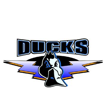 还记得CBA那些消失的队名吗？两队成冠军代名词辽宁最另类