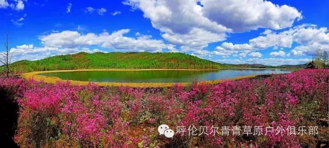 呼伦贝尔自由行攻略,呼伦贝尔自由行