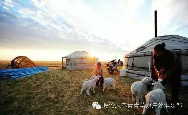 呼伦贝尔自由行攻略,呼伦贝尔自由行