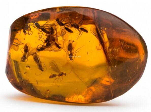 珠宝知识普及干货知识,带你了解没有用的珠宝知识