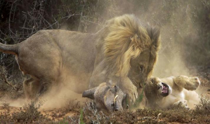 赚钱最多方法,赚钱最厉害的三个方法