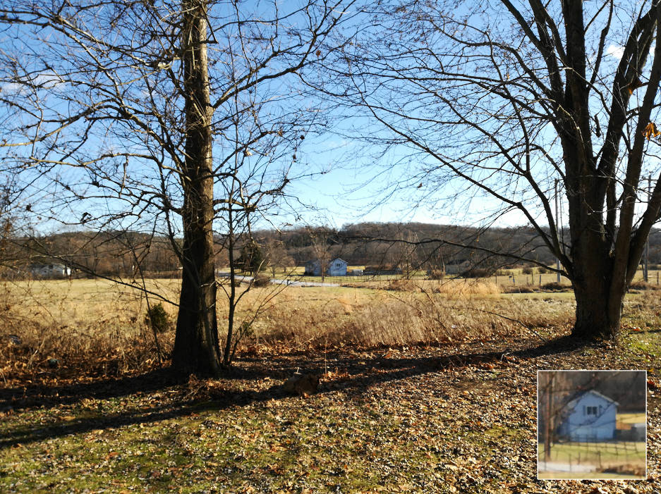 华为光荣7X详细评测：个性化和功能化的完美结合