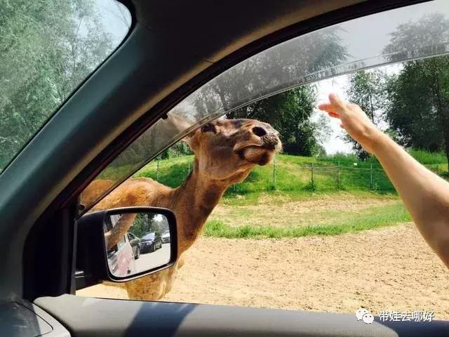 3天两晚广州长隆旅游攻略,广州长隆欢乐世界游玩攻略2021