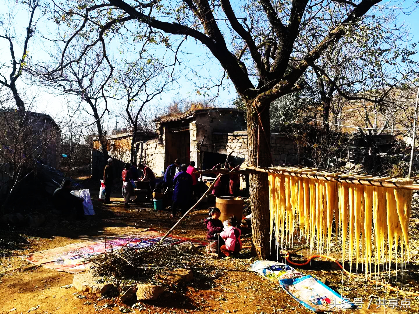 涉县纯红薯手工粉条,纯手工红薯粉条好吃不贵价格实惠