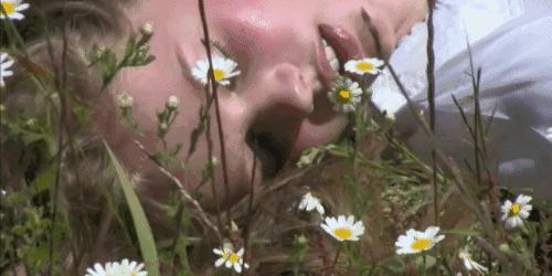 你不知道的十个英语常识,一分钟看懂英语冷知识