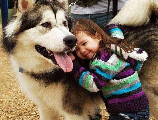 狗年女宝宝取名忌讳什么,狗年人取名忌讳的字