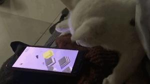 微信怎样才能得到跳一跳辅助,微信跳一跳辅助免费版指南