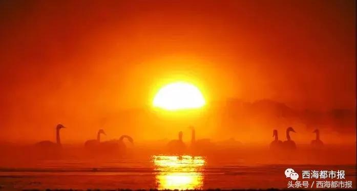 青海最惹眼的“尕网红”！“单挑哥”“白娘子”“老哇爷”