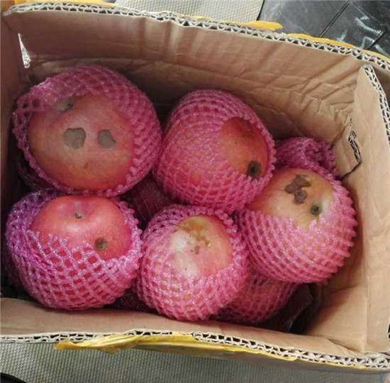 只拼价格一般能拼多久,不拼价格还能拼什么