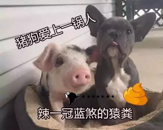 陈伟霆古天乐视频,陈伟霆古天乐同台