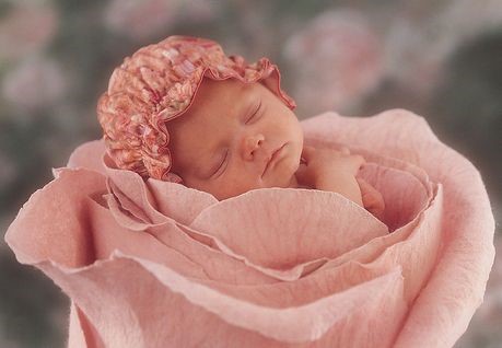 胎停育的大部分责任,胎停育太可怕了怎么预防