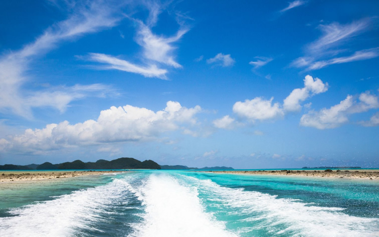 帕劳旅游景点推荐图片大全,帕劳旅游景点推荐