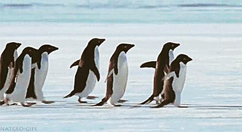 美国代购流程及费用,美国代购真实感受