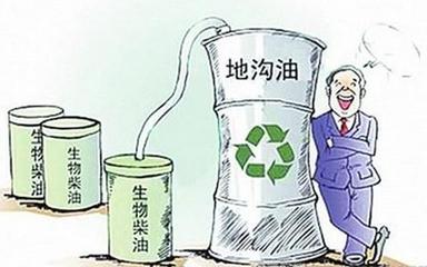 地沟油的危害100字,蜂蜜比地沟油危害还大