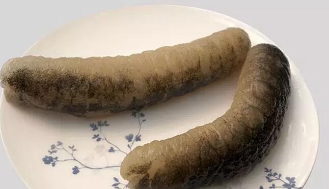 海参有上千种都是一样的吗,全世界海参有多少品种