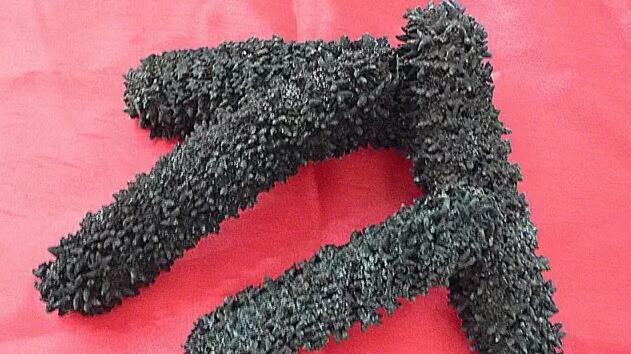 海参有上千种都是一样的吗,全世界海参有多少品种