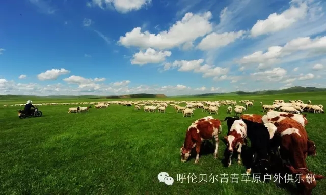 呼伦贝尔自由行攻略,呼伦贝尔自由行