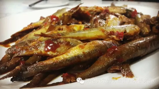 呼伦贝尔自由行攻略,呼伦贝尔自由行