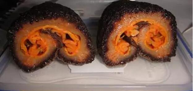 海参有上千种都是一样的吗,全世界海参有多少品种