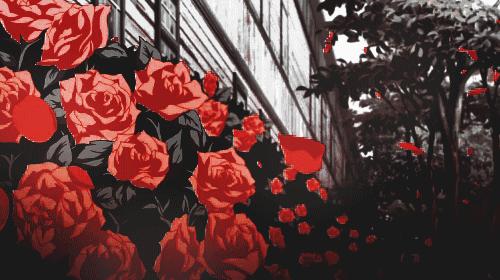 我和我家老张TheOldRomance