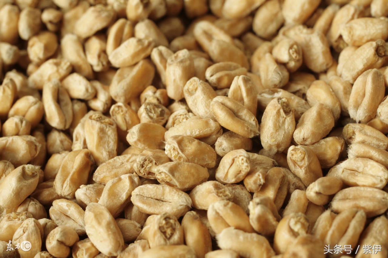 哺乳期妈妈这些事儿可别做,哺乳期的妈妈一定注意这3件事