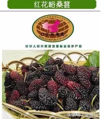 你好，我叫蓟州区，这是我的新名片，请收好