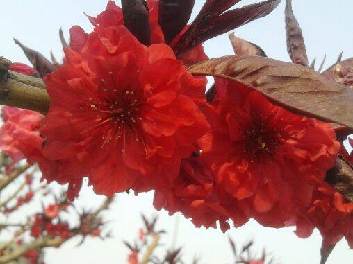 未来三年收入爆棚的四大生肖,五年之内财运一路飘红的三大生肖