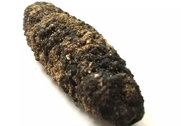 海参有上千种都是一样的吗,全世界海参有多少品种