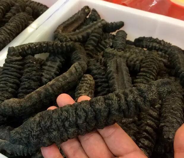 海参有上千种都是一样的吗,全世界海参有多少品种