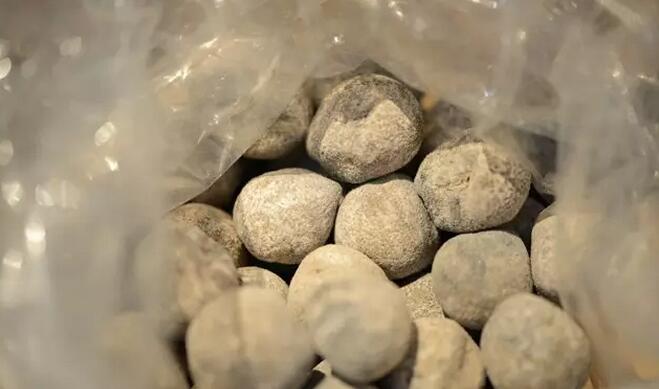 海参有上千种都是一样的吗,全世界海参有多少品种