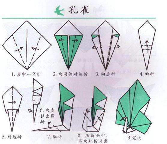 学各种各样的折纸,学折很多的手工