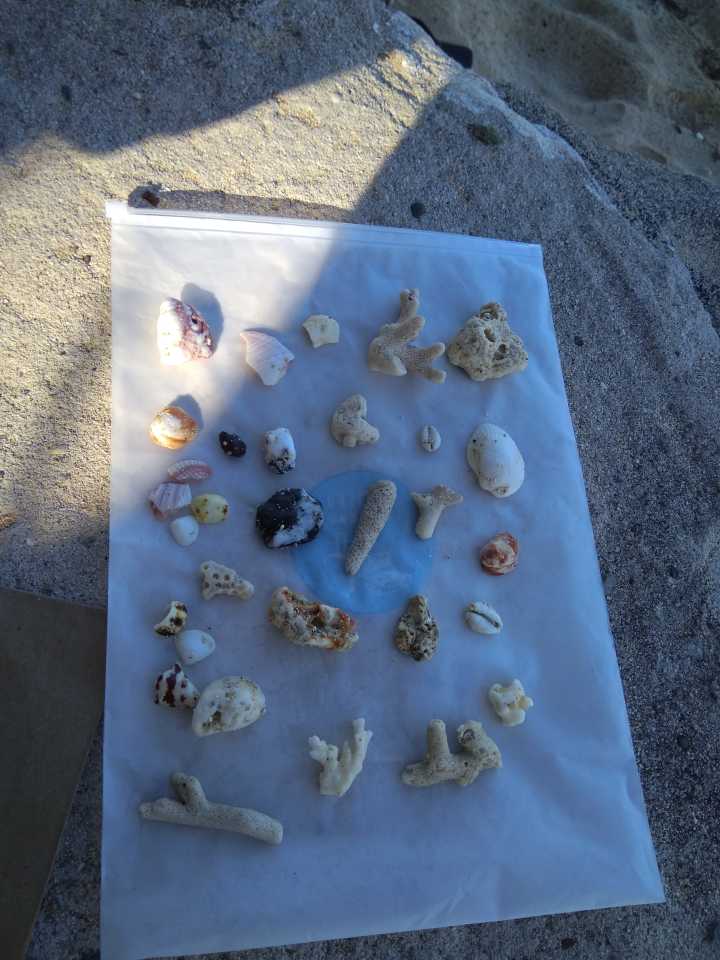 斐济这个国家怎么样,斐济免签哪些国家