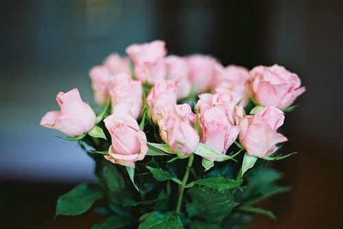 关于爱情的心灵鸡汤的经典语录,关于爱情失而复得的心灵鸡汤