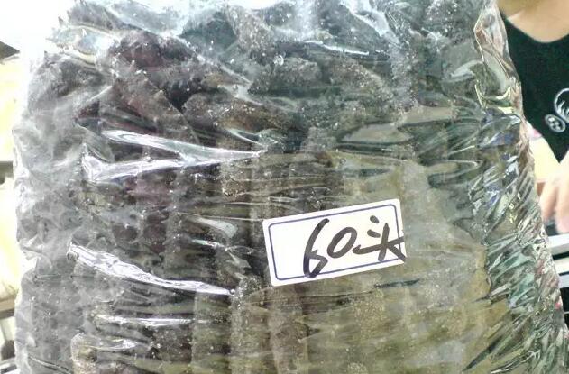 海参有上千种都是一样的吗,全世界海参有多少品种