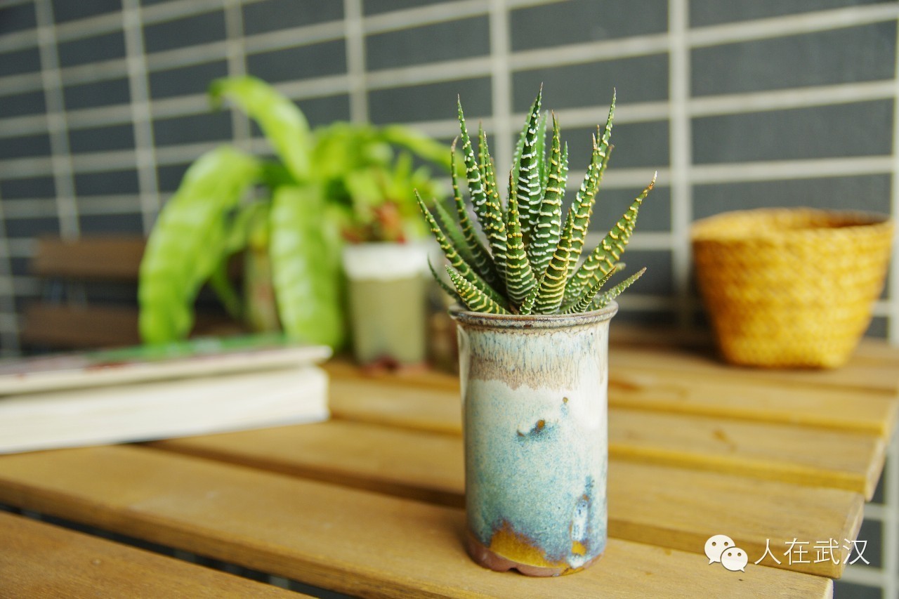 狂爱SPA的90后美女和她的精油王国