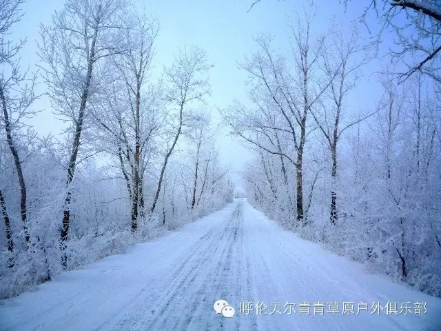 呼伦贝尔自由行攻略,呼伦贝尔自由行