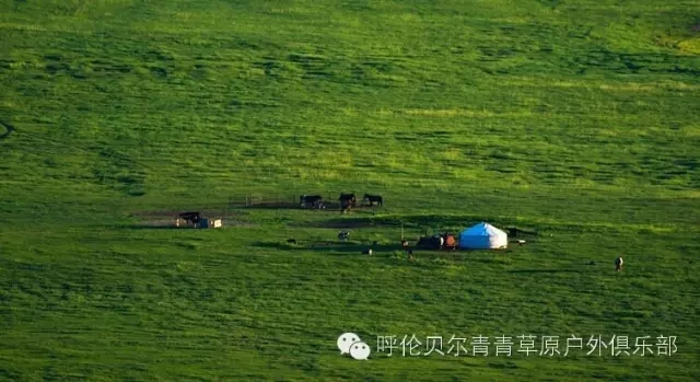 呼伦贝尔自由行攻略,呼伦贝尔自由行