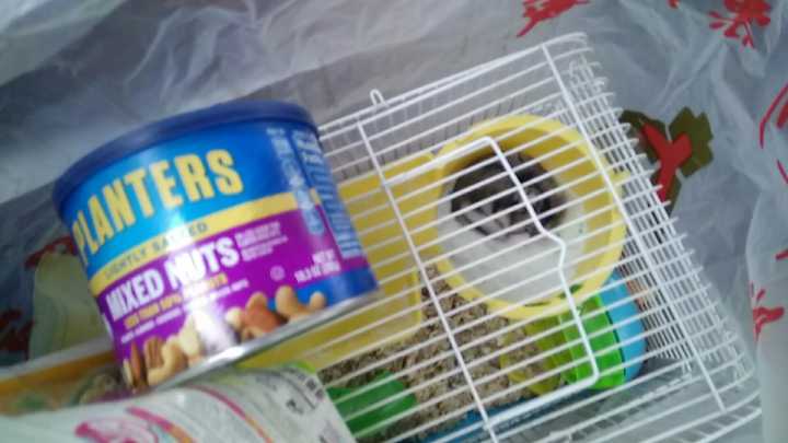 斐济这个国家怎么样,斐济免签哪些国家