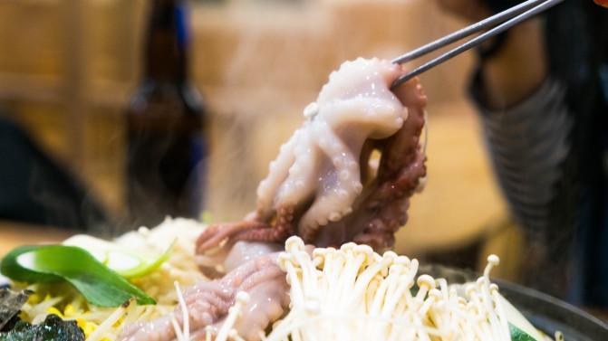 韩国济州岛攻略冬天,韩国济州岛值得去的地方