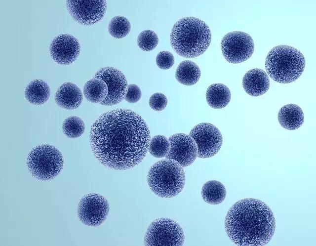 被人咬了破皮要不要打碎伤风,被人咬了需不需要打碎伤风