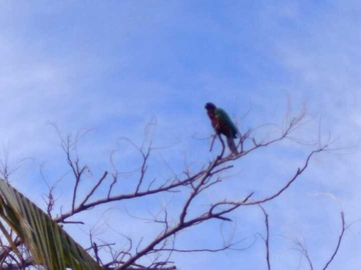 斐济这个国家怎么样,斐济免签哪些国家