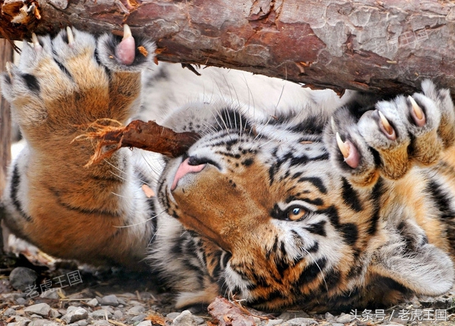 凡事留一手小说,凡事留一手出自哪一个电影