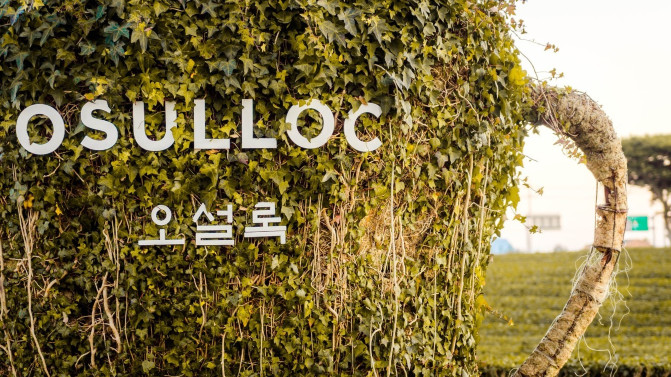 韩国济州岛攻略冬天,韩国济州岛值得去的地方