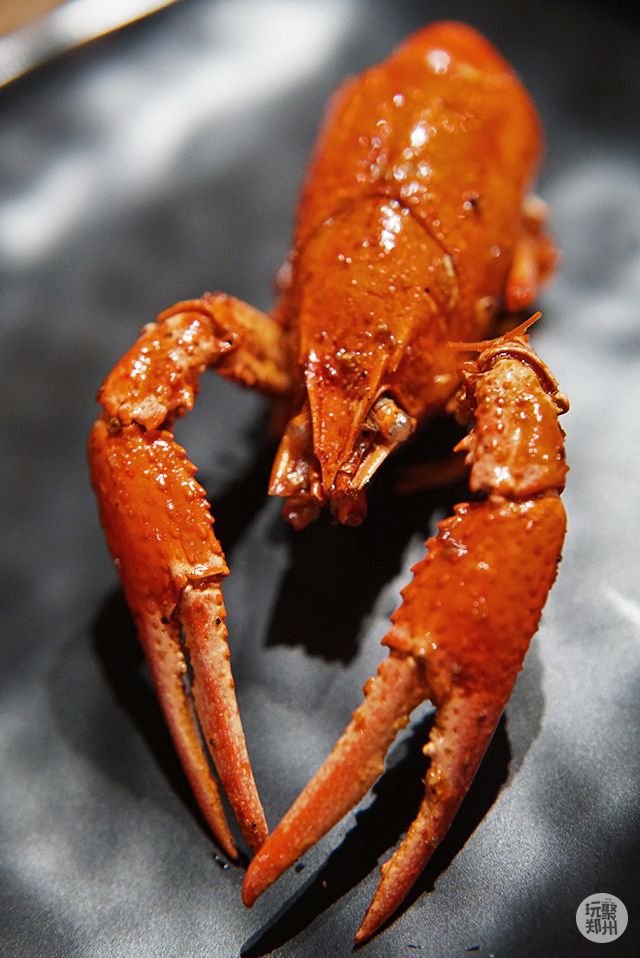 冬天都可以吃到品质好的龙虾店,冬天还能吃到小龙虾真好