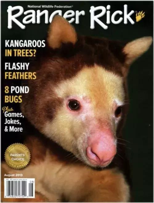 好强大！今年给孩子订杂志，一定看看这份攻略大全！