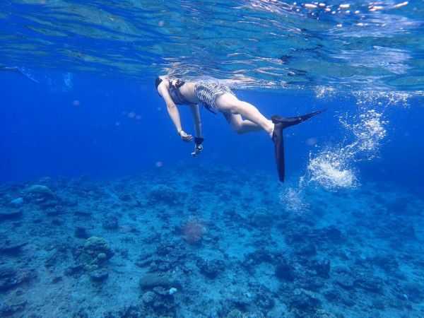 斐济这个国家怎么样,斐济免签哪些国家